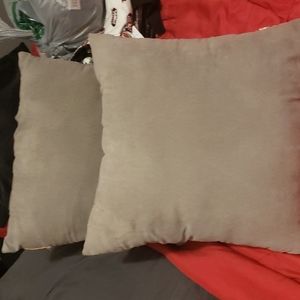 2 piece Grey Pillow